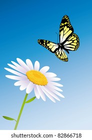 vector butterfly and daisy