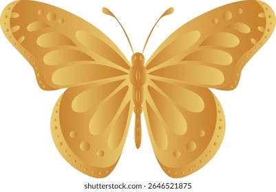 vector butterfly drawings. 3d illustration images.