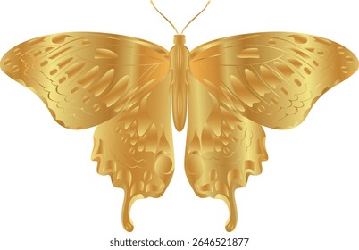 vector butterfly drawings. 3d illustration images.
