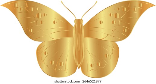 vector butterfly drawings. 3d illustration images.
