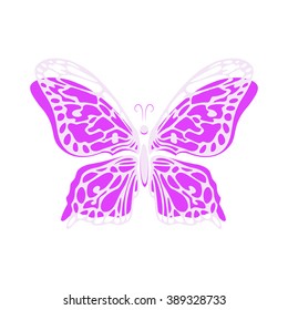Vector butterfly drawn hand isolated on white background. Vector illustration.