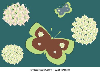 Vector butterfly with flower. Lewisia.