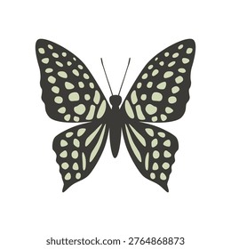 Vector butterfly graphium agamemnon. Vector illustration isolated on white background.