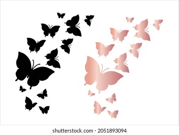 vector butterfly vector hand drawn