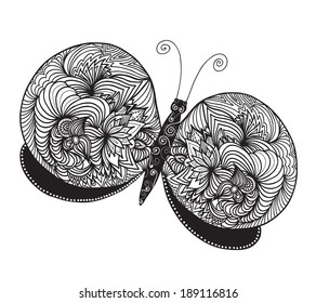 Vector butterfly, hand drawn illustration