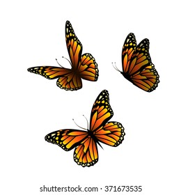 vector butterfly with hearts on wings. Vector - Shutterstock ID 371673535