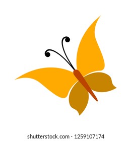 vector butterfly icon