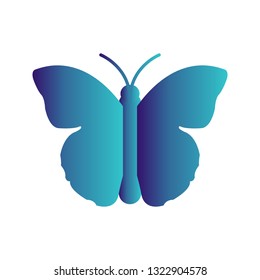  Vector Butterfly Icon
