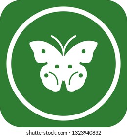 Vector Butterfly Icon

