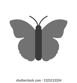  Vector Butterfly Icon
