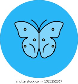 Vector Butterfly Icon

