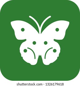Vector Butterfly Icon