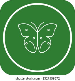 Vector Butterfly Icon