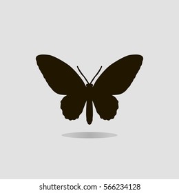 Vector butterfly icon isolated on gray background. For logos, emblems, symbols, decor, design, business cards, postcards, posters and interior