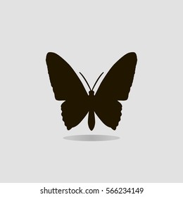 Vector butterfly icon isolated on gray background. For logos, emblems, symbols, decor, design, business cards, postcards, posters and interior