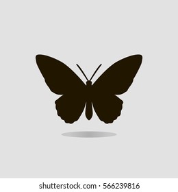 Vector butterfly icon isolated on gray background. For logos, emblems, symbols, decor, design, business cards, postcards, posters and interior
