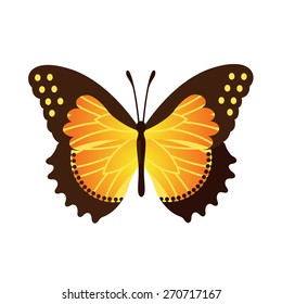 Vector Butterfly Illustration