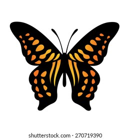 Vector Butterfly Illustration