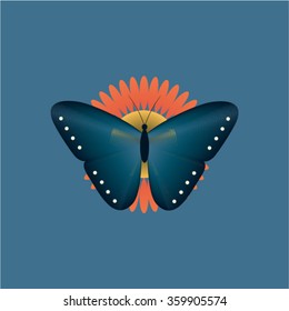 Vector butterfly illustration