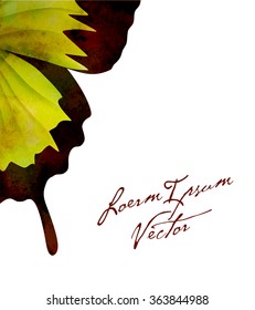 vector butterfly illustration