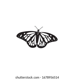 Vector butterfly illustration with patterns