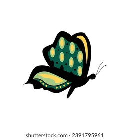 Vector del vector de insectos de mariposa