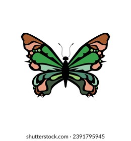 Vector of butterfly insect animal illustration