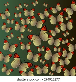 vector butterfly insect art white decorative color 