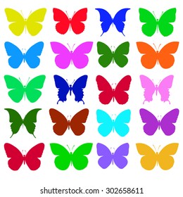 vector butterfly insect art white decorative color 