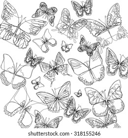 vector butterfly insect art white color fly graphic