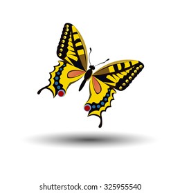 vector butterfly insect art white decorative color 