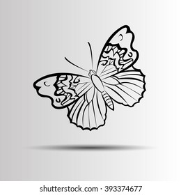 vector butterfly insect art white decorative color 