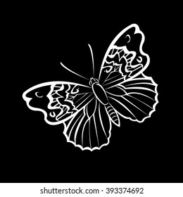 vector butterfly insect art white decorative color 