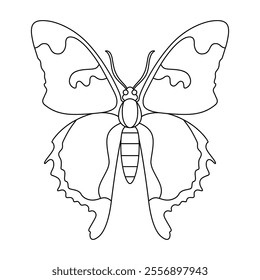 Vector Butterfly Insect Cartoon Illustration Isolated