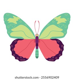 Vector Butterfly Insect Cartoon Illustration Isolated