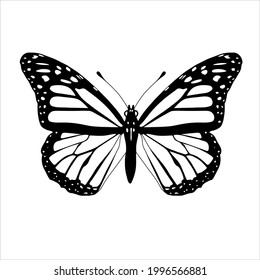  mariposa vectorial, aislada en el fondo blanco