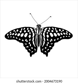 vector butterfly, isolated on the white background