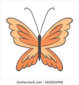 Vector butterfly with large lion-like mane. Redhead insect with orange wings in a cartoon style. Line and color. Design element on white background.