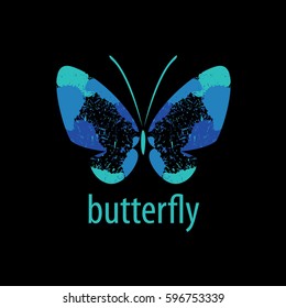 vector butterfly logo