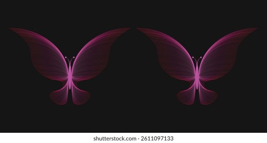 vector butterfly made of lines