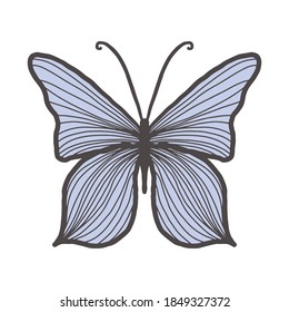 Vector butterfly with many lines on blue wings. Social media decoration, design element, symbol of freedom and lightness. Insect with large wings on a white background isolated. Floating butterfly for