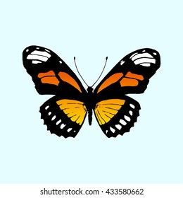 Vector butterfly Monarch. Butterfly Danaus plexippus