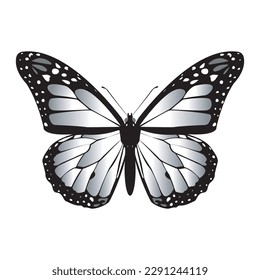 Vector butterfly  monarch in graphics. Butterfly and insect. Black and white monarch.