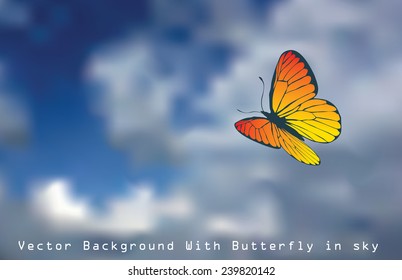 vector butterfly on cloudy sky