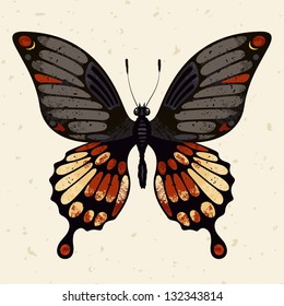 Vector butterfly on a grunge background