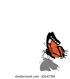 Vector. Butterfly on paper  08
