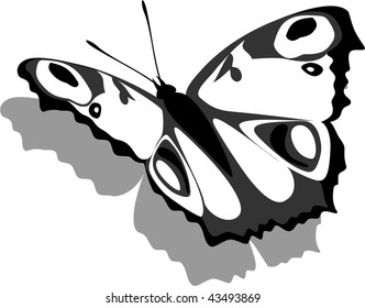 Vector. Butterfly on paper 13
