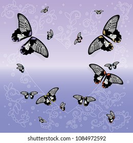 vector butterfly on purple background with Vine lines