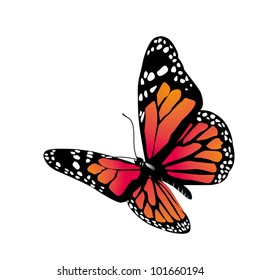 mariposa vectorial de color naranja