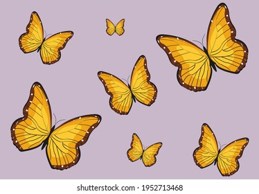 vector butterfly pattern, illustration, wallpaper and background